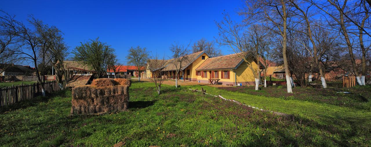 Sobe Kod Baje - Baranjska Kuca Bed & Breakfast Karanac Luaran gambar