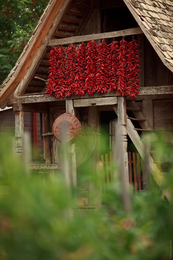 Sobe Kod Baje - Baranjska Kuca Bed & Breakfast Karanac Luaran gambar